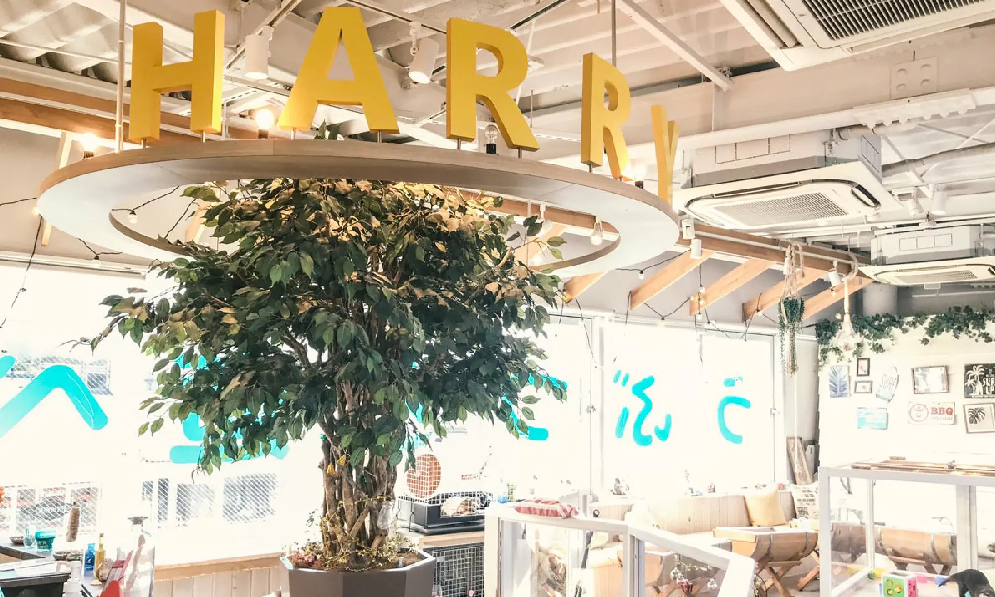 Harry原宿テラスの評判と混雑は？料金や予約・体験のリアルを徹底検証