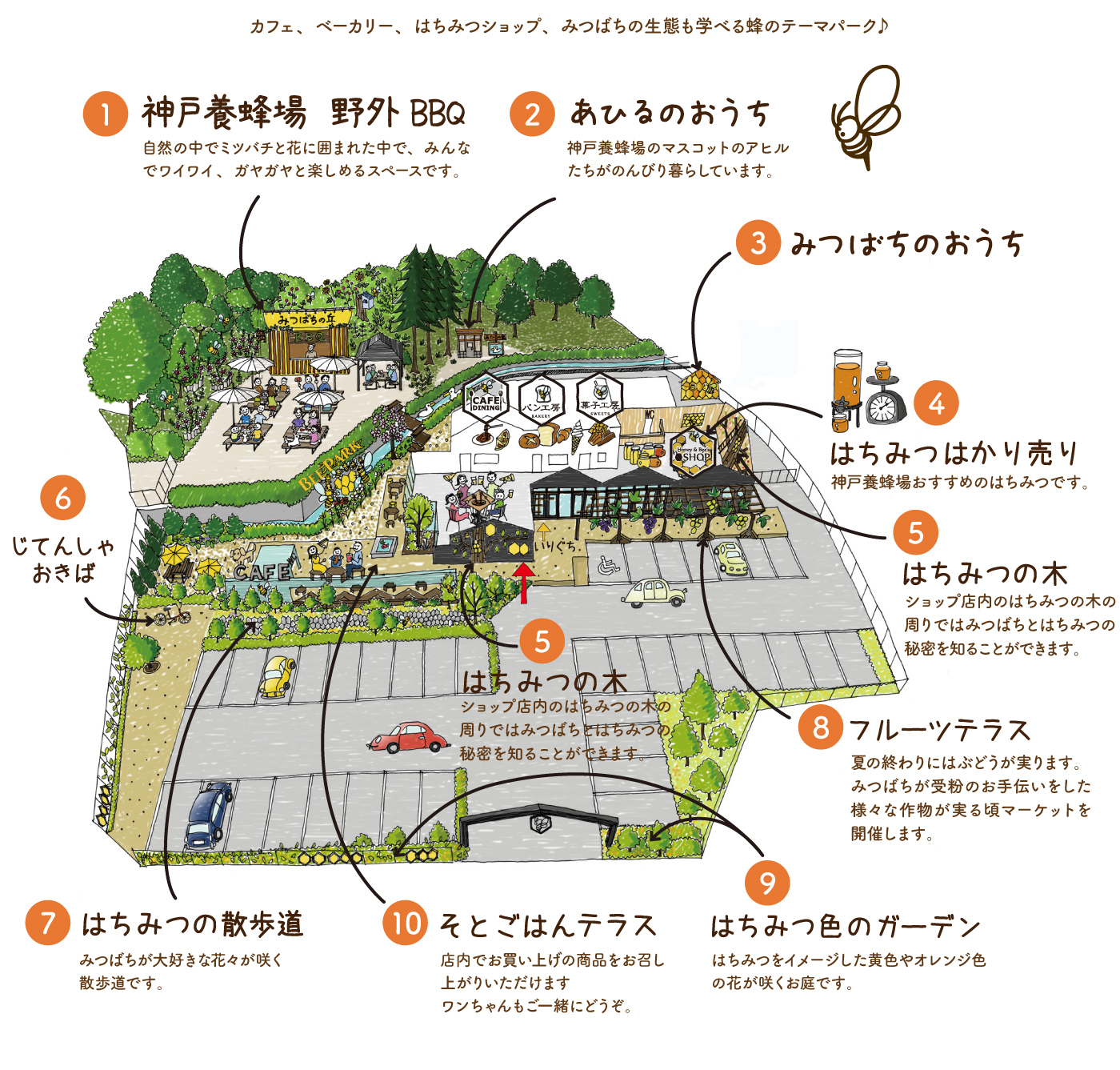 なぜ人気？神戸養蜂場の絶品ランチ＆限定スイーツの真相と混雑実態を徹底調査