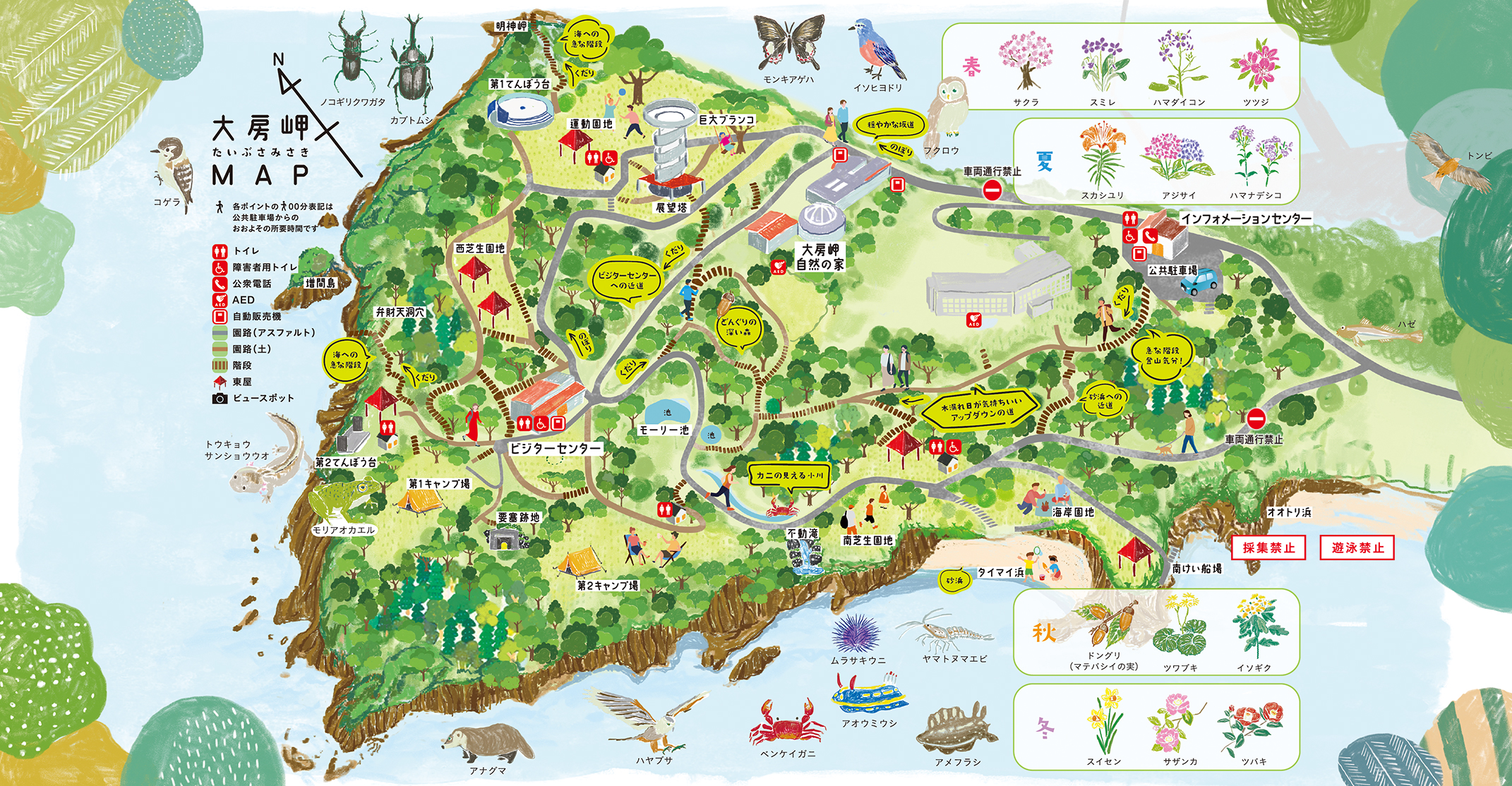 大房岬自然公園の光と影｜要塞地下壕の真相と絶景キャンプ場の現在