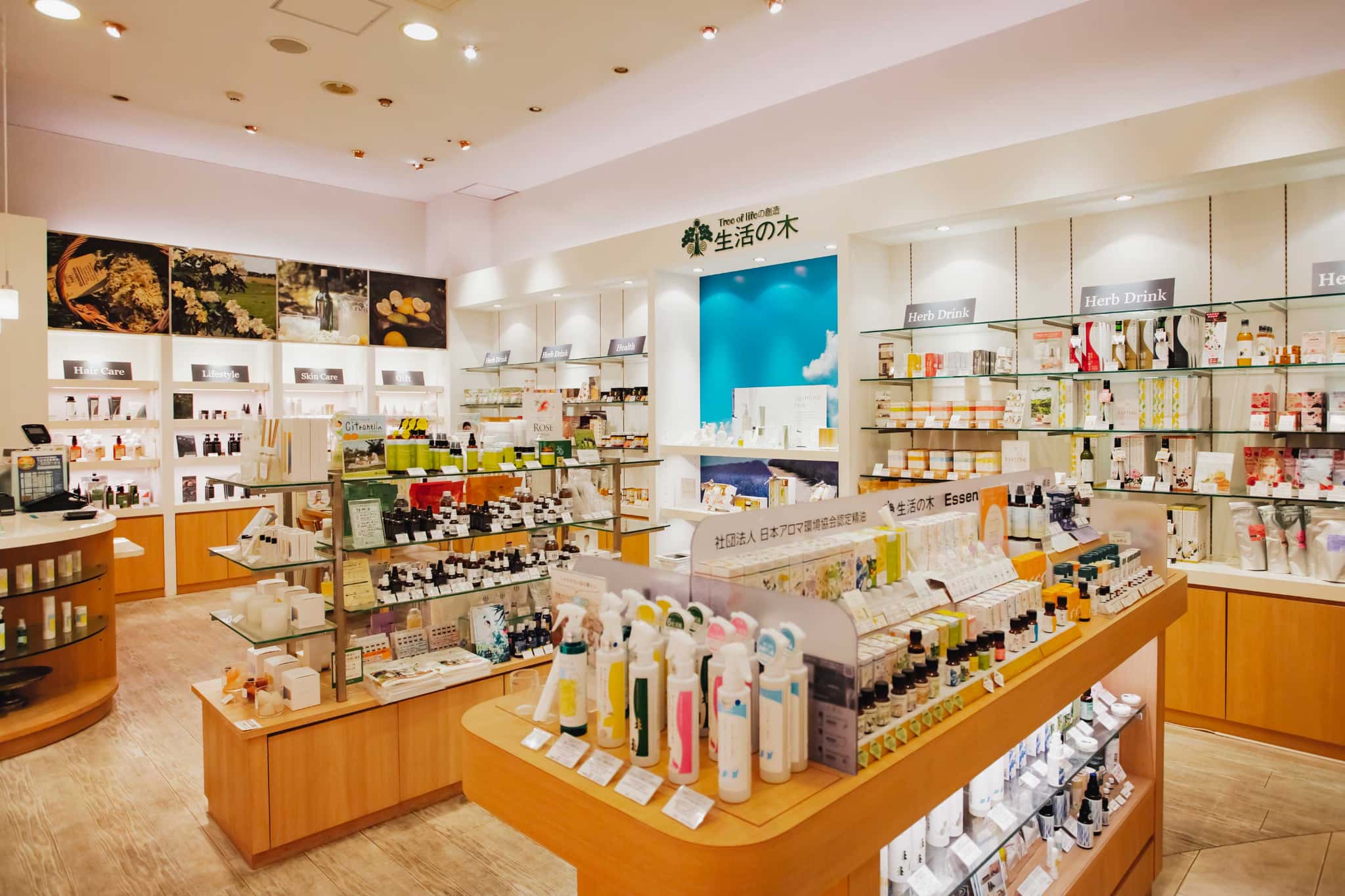 生活の木店舗の現在地｜相次ぐ閉店理由と大型旗艦店の魅力を徹底解明