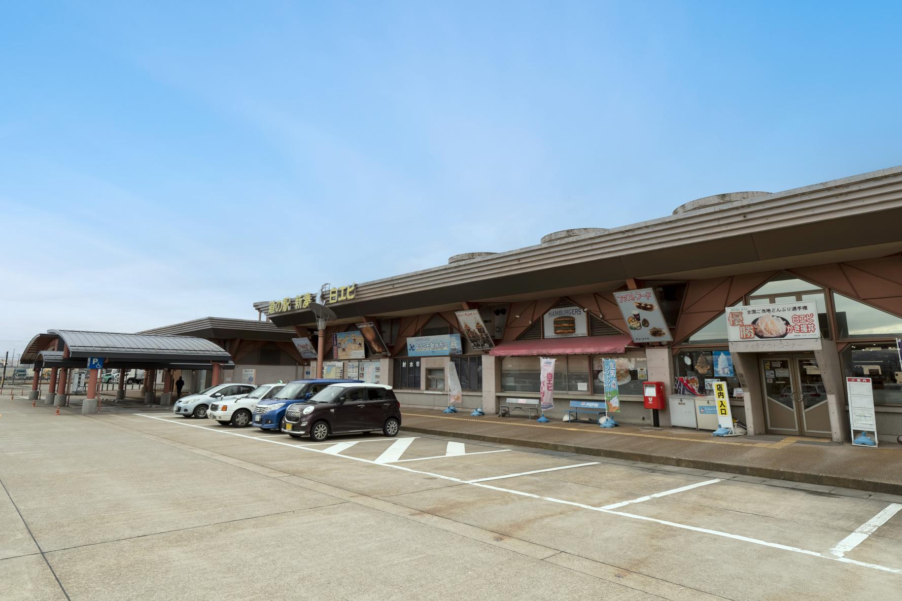 道の駅カモンパーク新湊完全攻略！白エビ絶品グルメと車中泊の真相