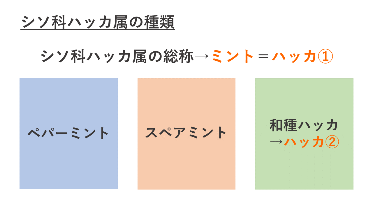 ハッカとミントの違いを徹底解剖！成分比較と失敗しない使い分けの真相