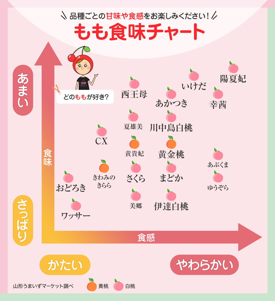 プロ直伝！美味しい桃の見分け方と甘い完熟サイン＆選び方の極意