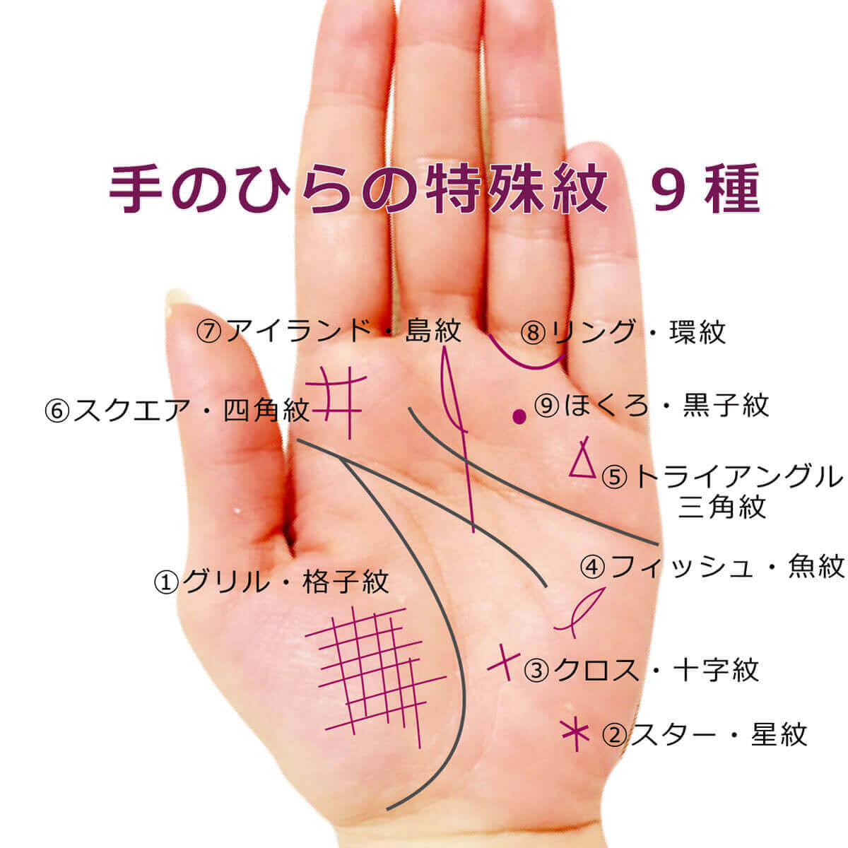 手相の結婚線で運命と婚期を見抜く！右手左手の違いと線の真相【2026】