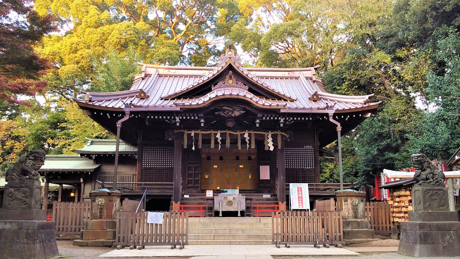 摩天楼の影で呼吸する800年の森――2026年、代々木八幡宮が東京のクリエイターを惹きつけ続ける理由