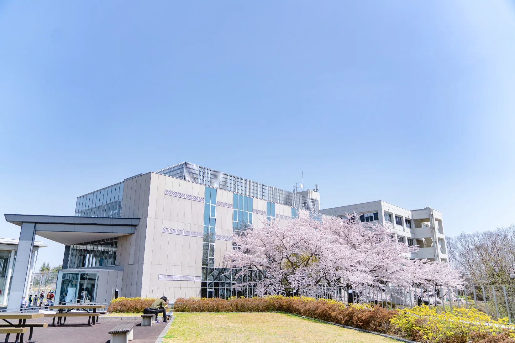東北工業大学長町キャンパスの今！移転の真相や評判・学食を徹底解剖