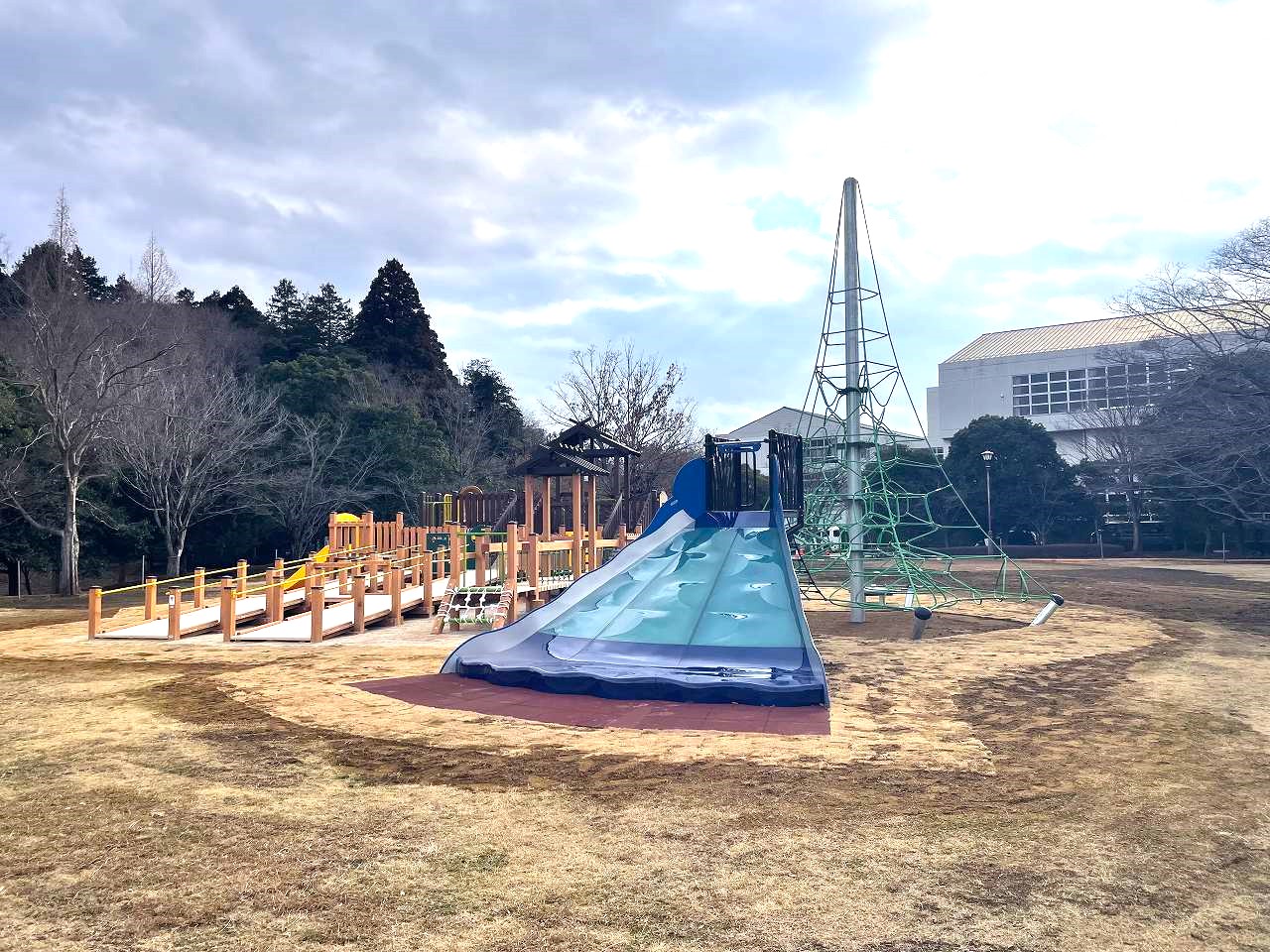 佐倉市七井戸公園2026完全取材！無料駐車場の混雑や遊具・桜の実態
