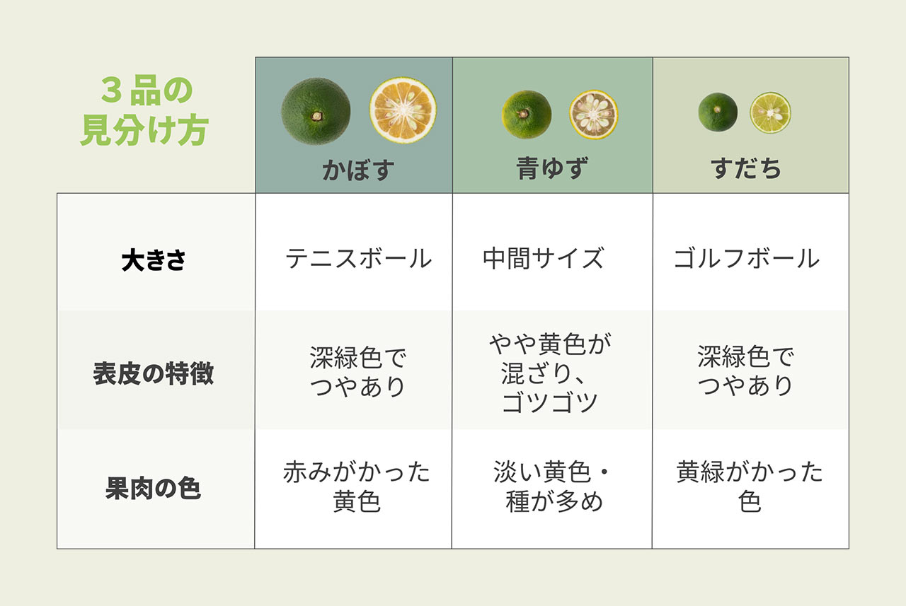 かぼすとすだちの違いとは？見分け方・料理の相性をプロが徹底解説