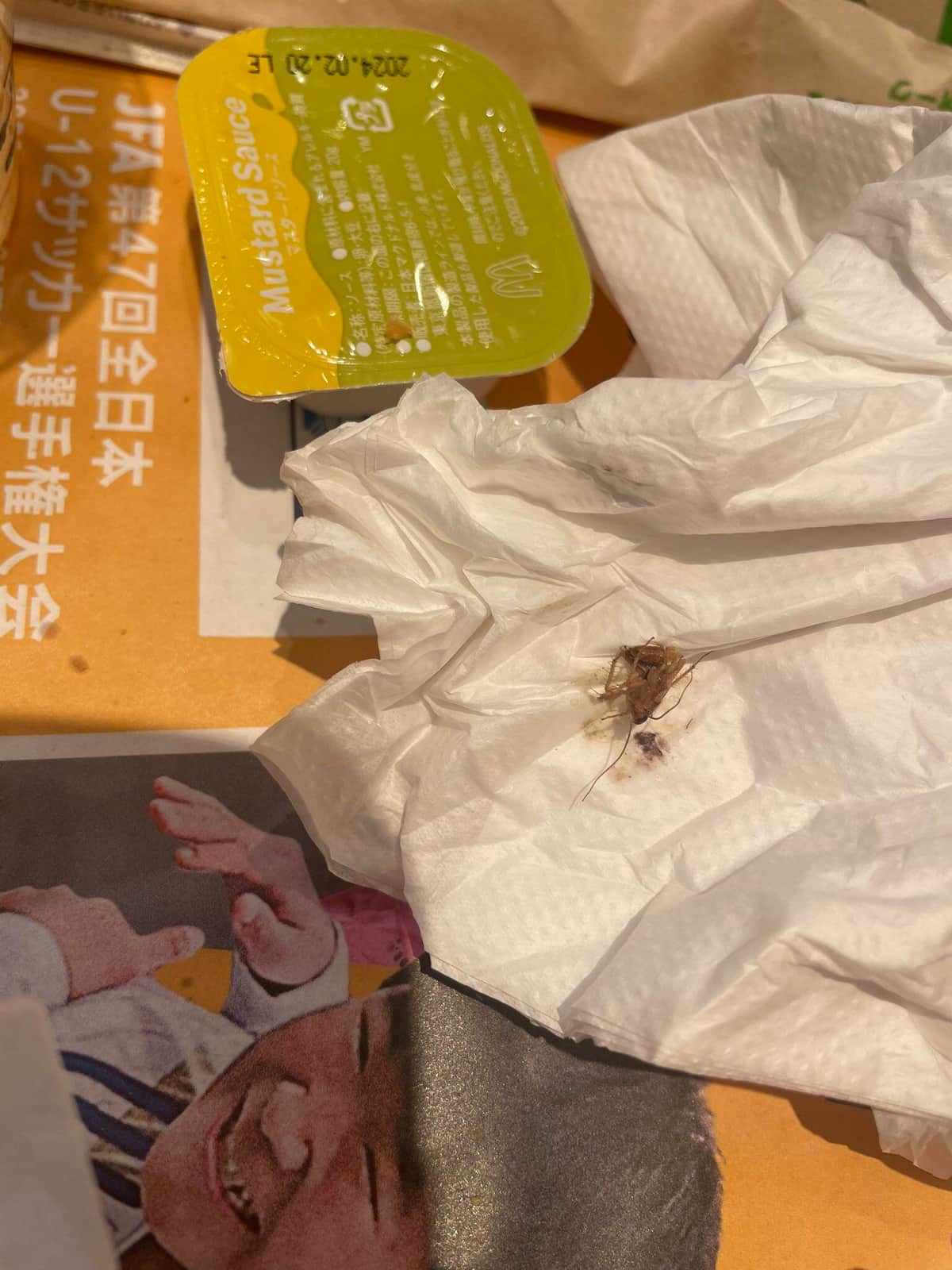 マックのグラコロにゴキブリ混入？Sns騒動の真相と衛生管理の実態