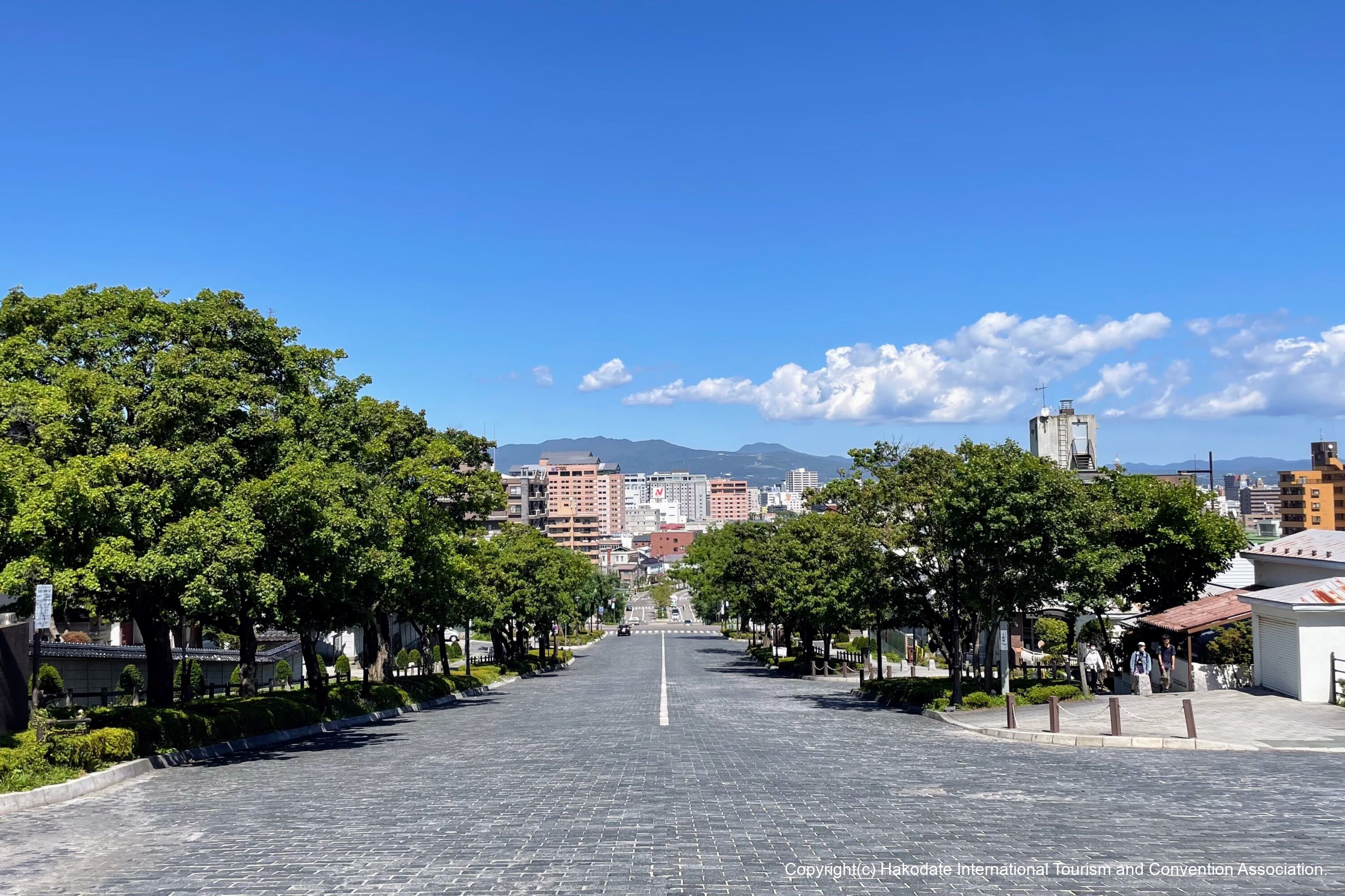函館・二十間坂はなぜ道幅36Mなのか？大火の真相と絶景散策ガイド2026