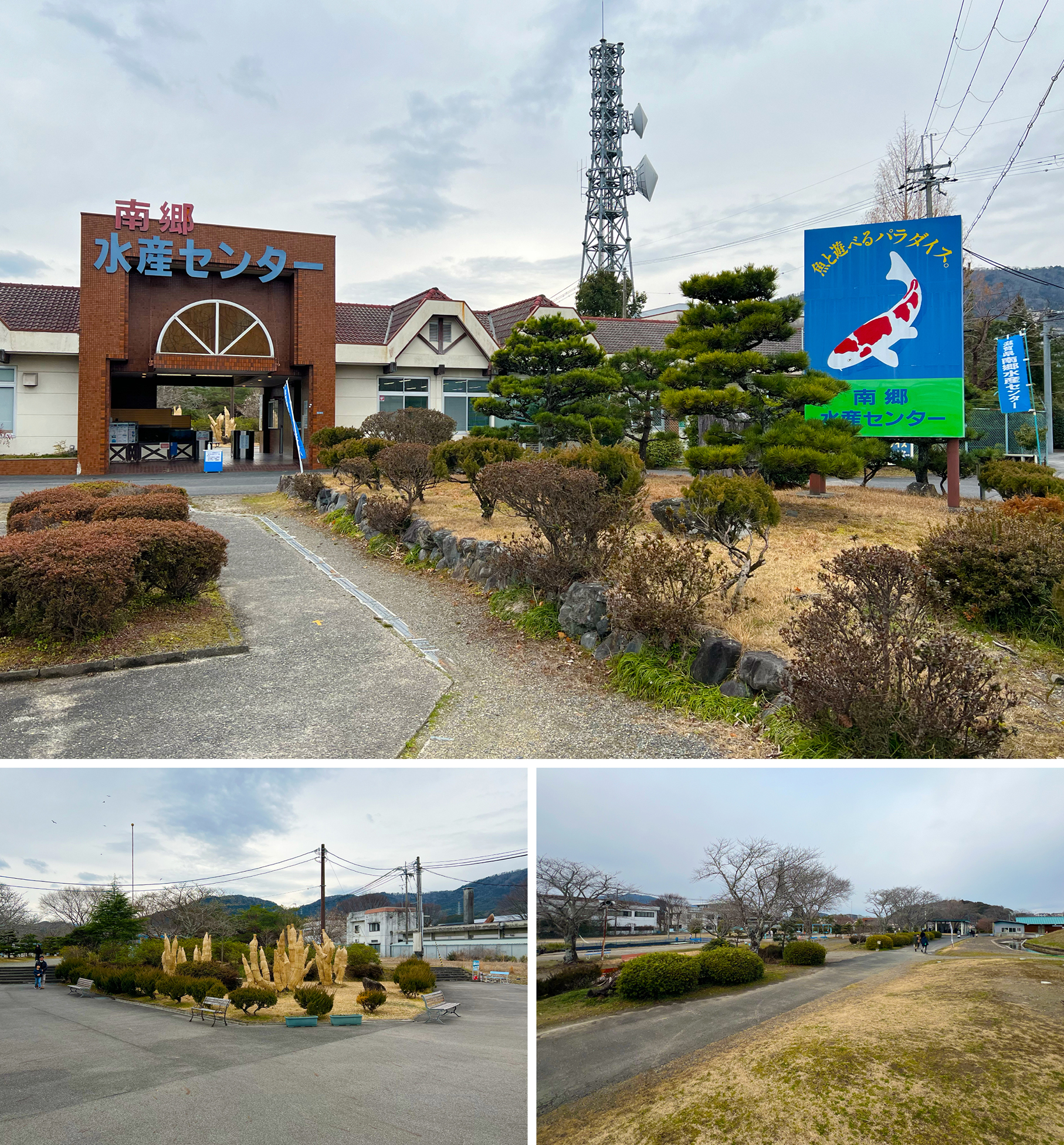南郷水産センターの真相｜狂気の餌やりと釣り堀の評判を徹底現地検証