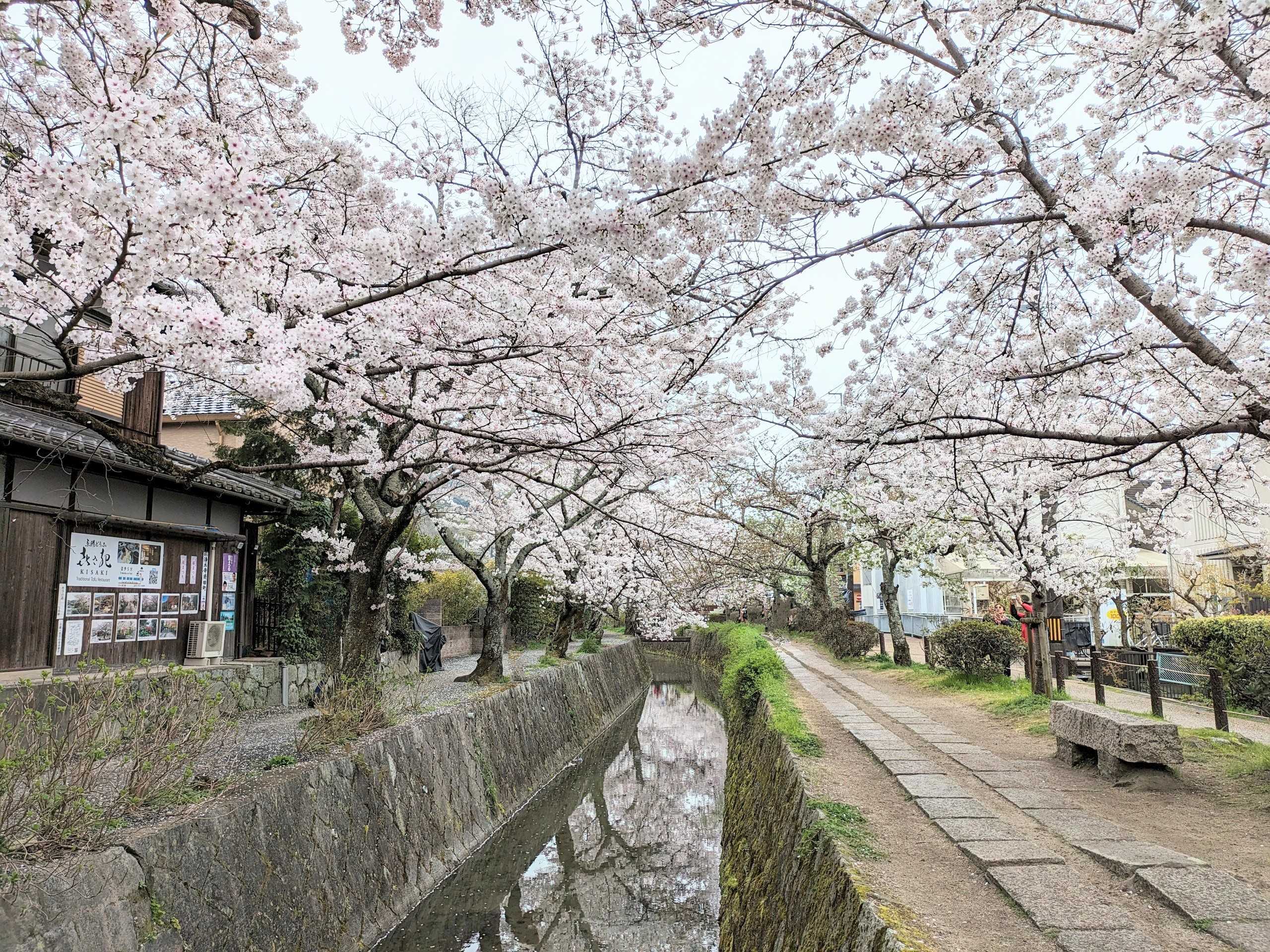 京都の喧騒を離れ、呼吸を取り戻す――2026年、私たちが「歩く思索」へ原点回帰する理由