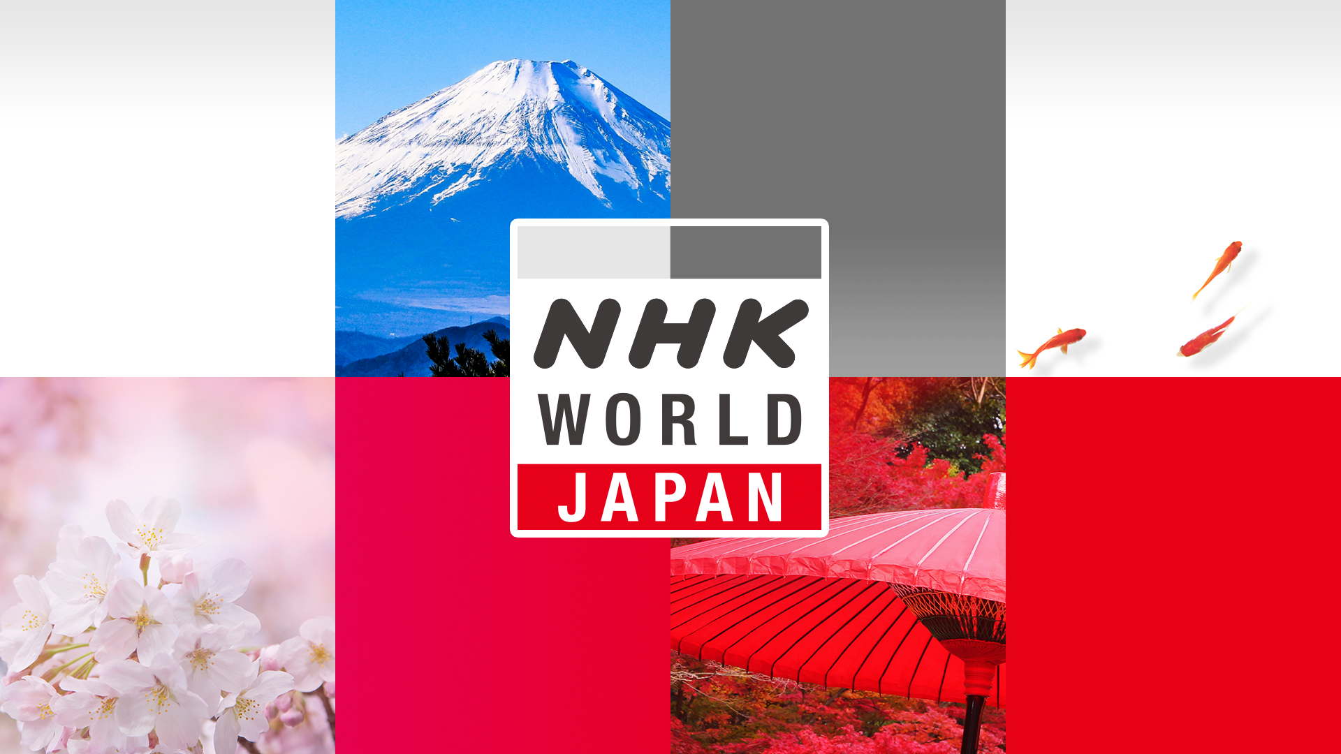 紅白歌合戦の出演者発表に激震！初出場組と落選劇の真相を全解剖