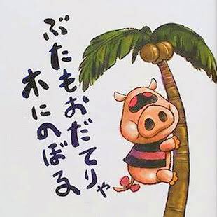 【噂】 豚 も おだてりゃ 木 に 登る 経歴＆学歴まとめ 2026 #681