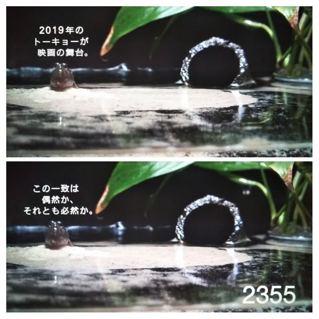 なぜ心に刺さる？2355「トビーの映画音楽の夕べ」名曲一覧と選曲の真相