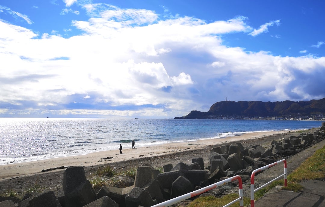品川と羽田の狭間で何が起きているのか？ 2026年、変貌する「大森 海岸」が都市生活者を惹きつける知られざる理由