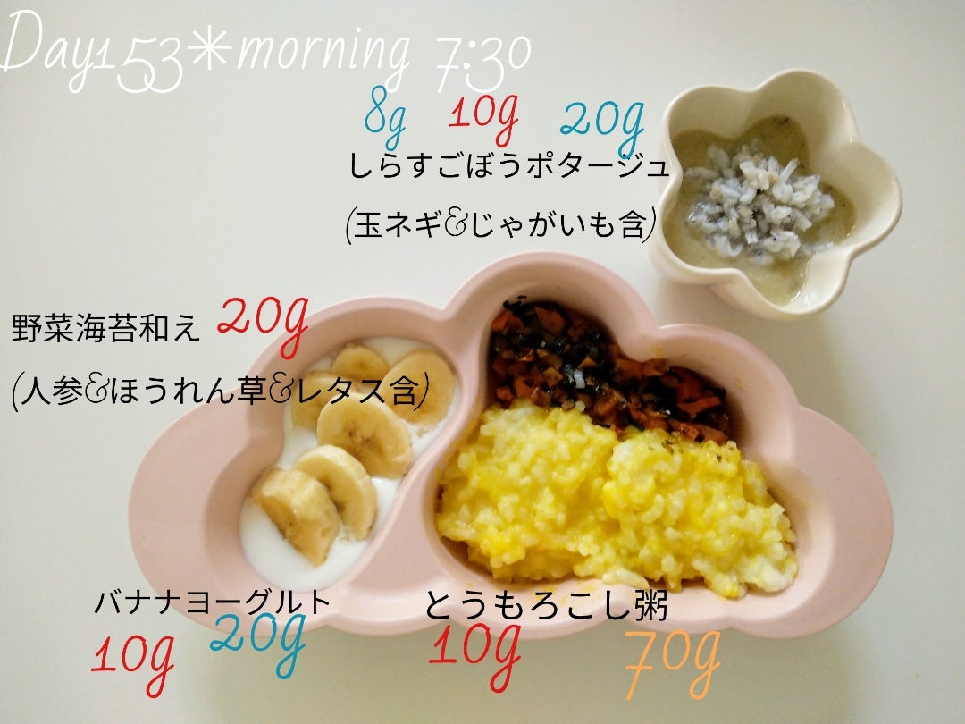 離乳食9ヶ月の適量は？3回食移行期のグラム数と食べない悩みを徹底解説