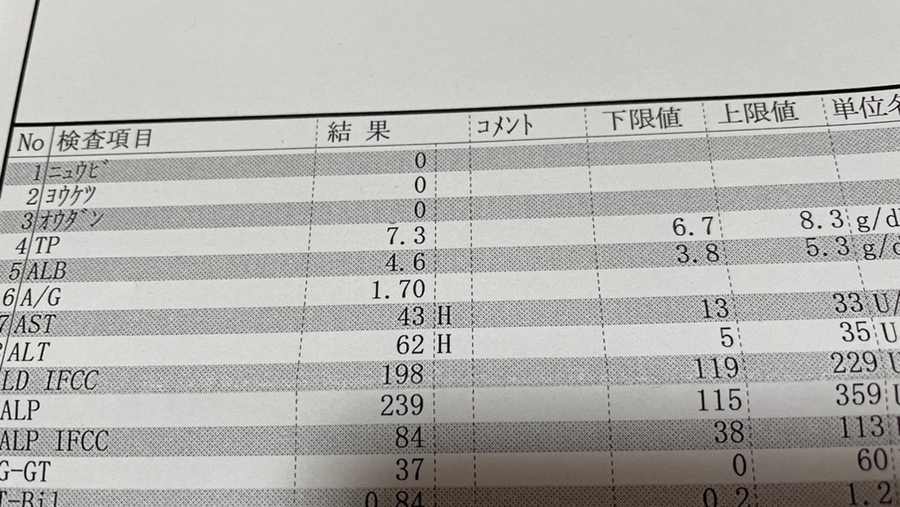 自己免疫性肝炎を公表した芸能人の現在とは？壮絶な闘病と真実2026