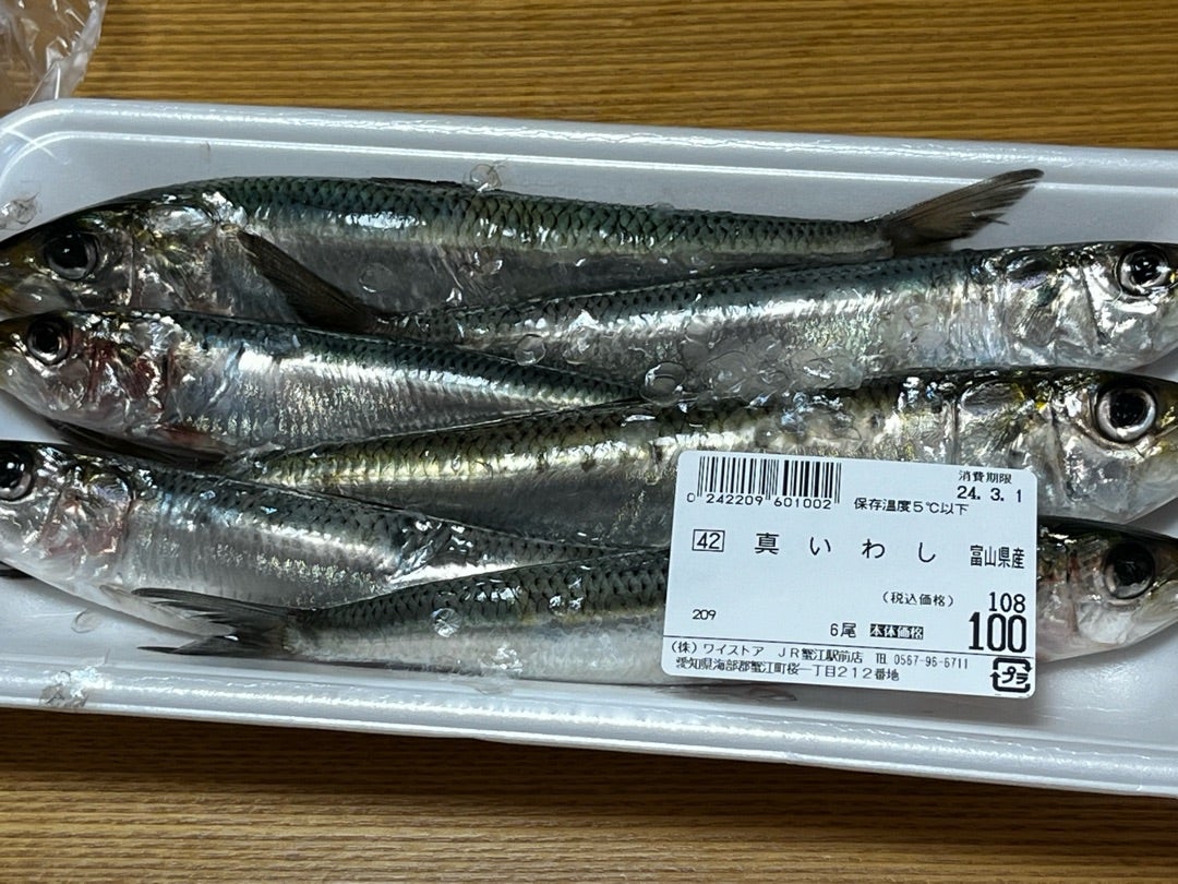 アメブロまいわしの現在と義実家問題｜驚きのブログ収入と噂の真相