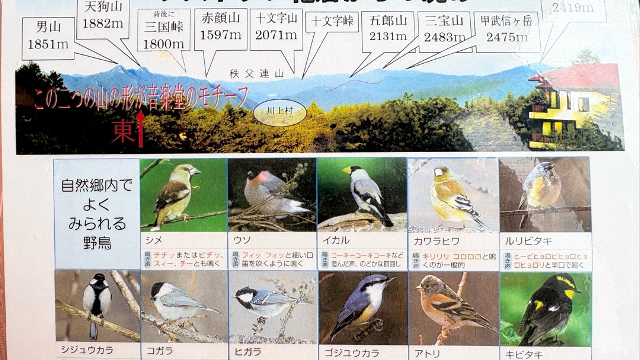 外から響く謎の鳥の正体は？鳴き声カタカナ表記と聞きなし大全