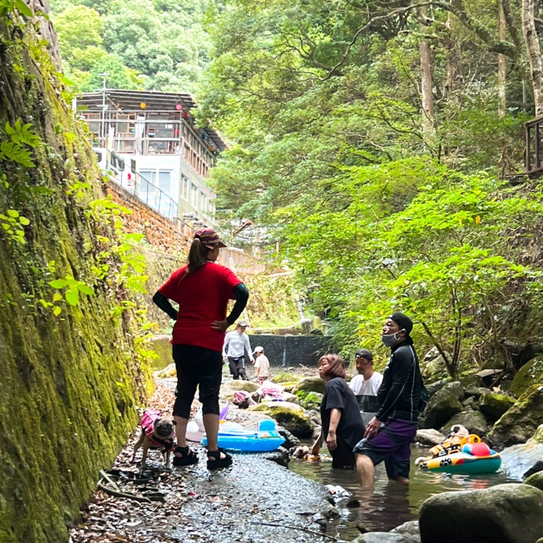 なぜ犬鳴山Woodsが話題に？リアルな評判・料金と混雑の真相を徹底調査