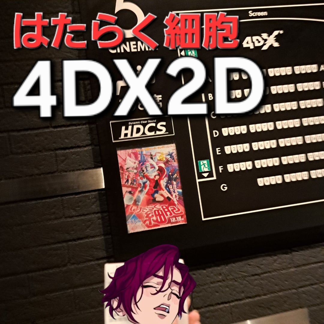 4Dx 2Dとは？3Dメガネ不要で酔いにくい理由と料金をプロが徹底解説