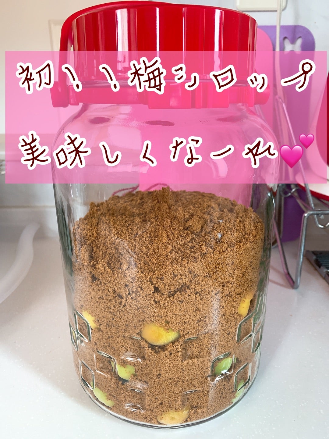 梅シロップの効能を徹底解剖！疲労回復・美肌効果と失敗しない飲み方