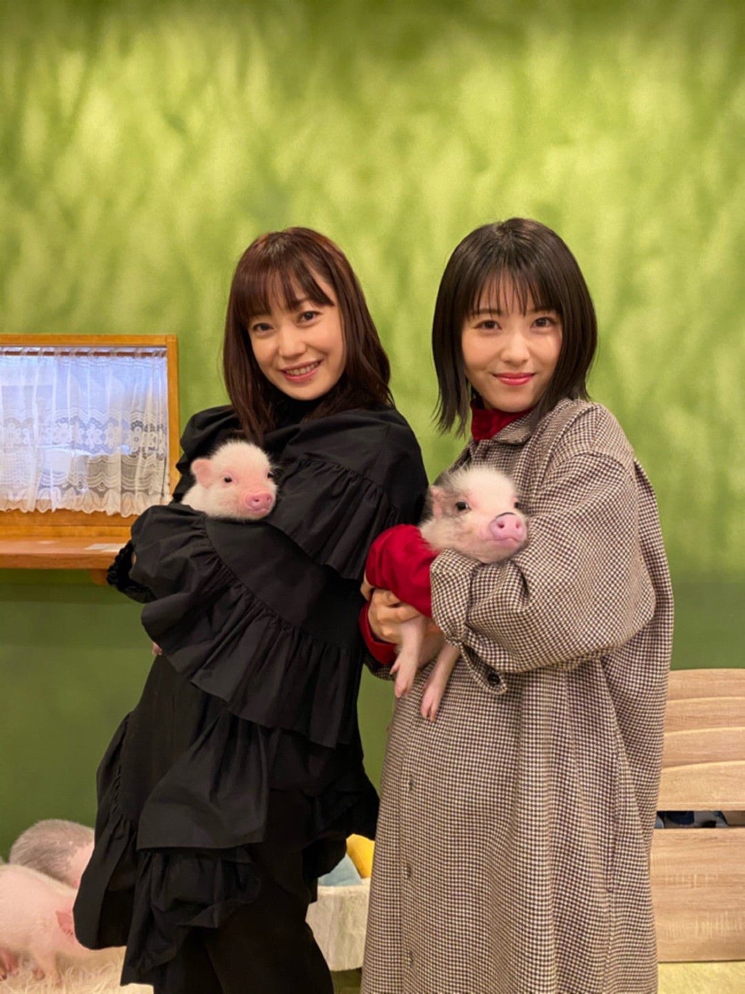 菅野美穂と堺雅人の子供は何人？2026最新の年齢・進学先と子育てのリアル