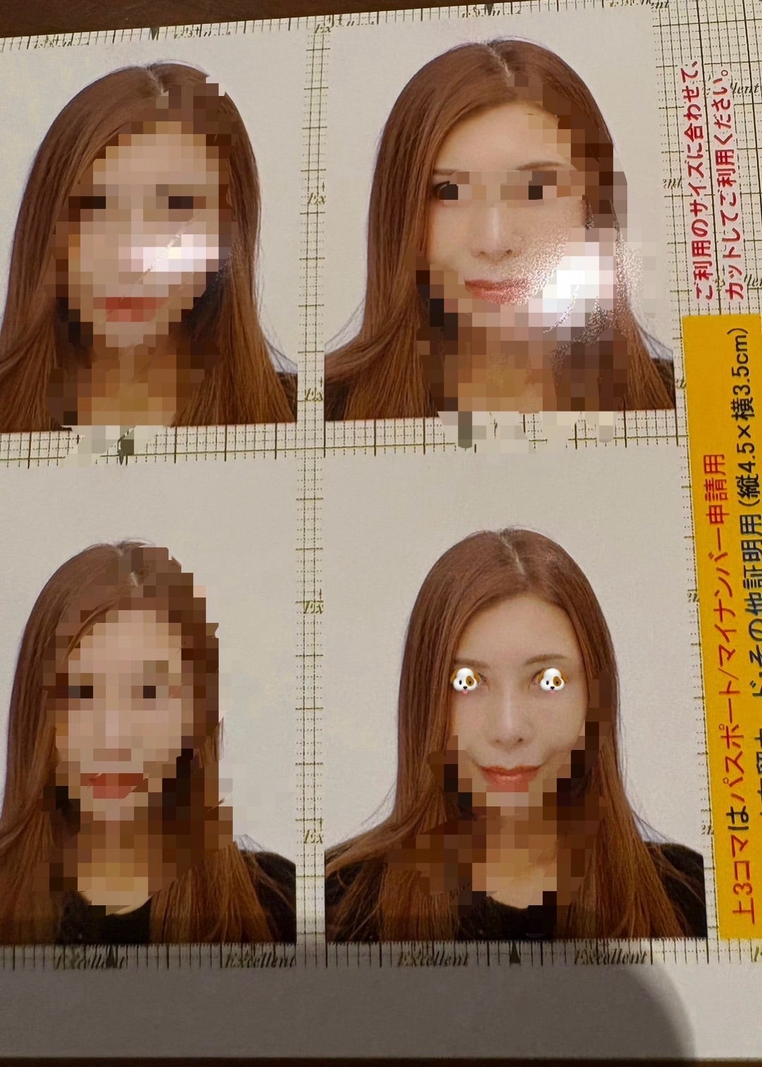 マイナンバー写真却下の原因は？スマホ自撮りで一発合格する最新審査対策