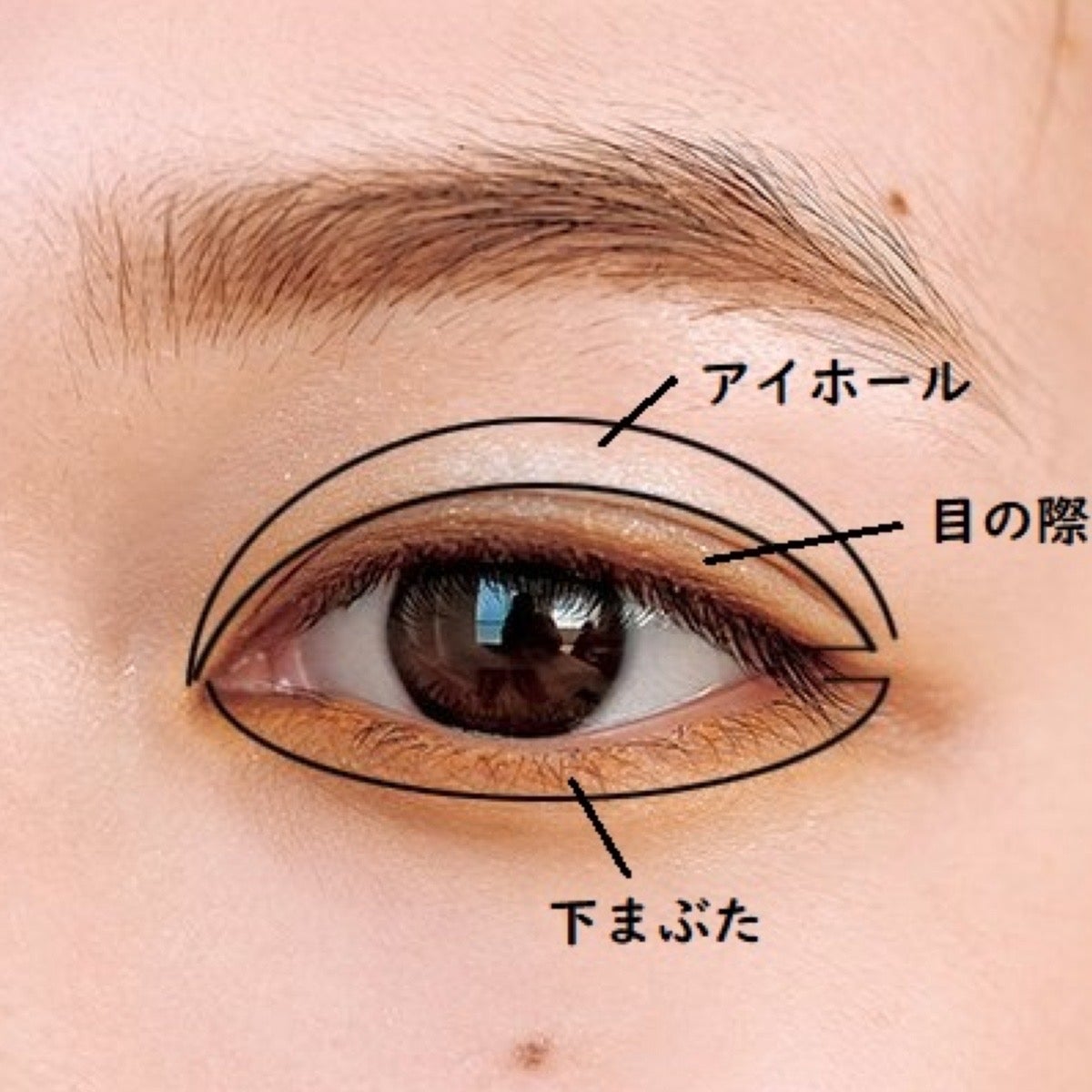 目のキワとはどこの場所？生え際との違いと失敗しない垢抜けアイメイク
