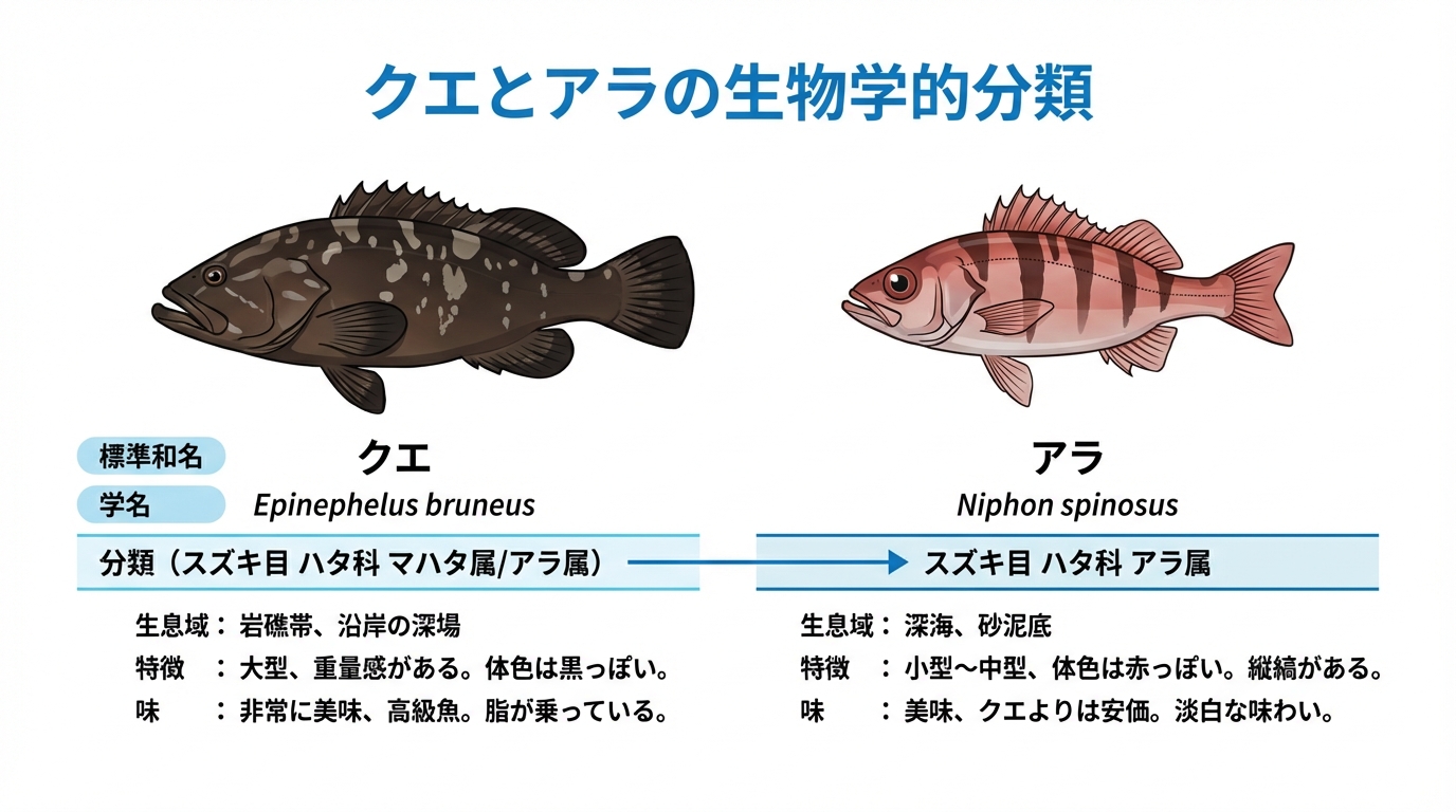 クエとアラの違いとは？九州で呼称が逆転する謎と見分け方を徹底検証