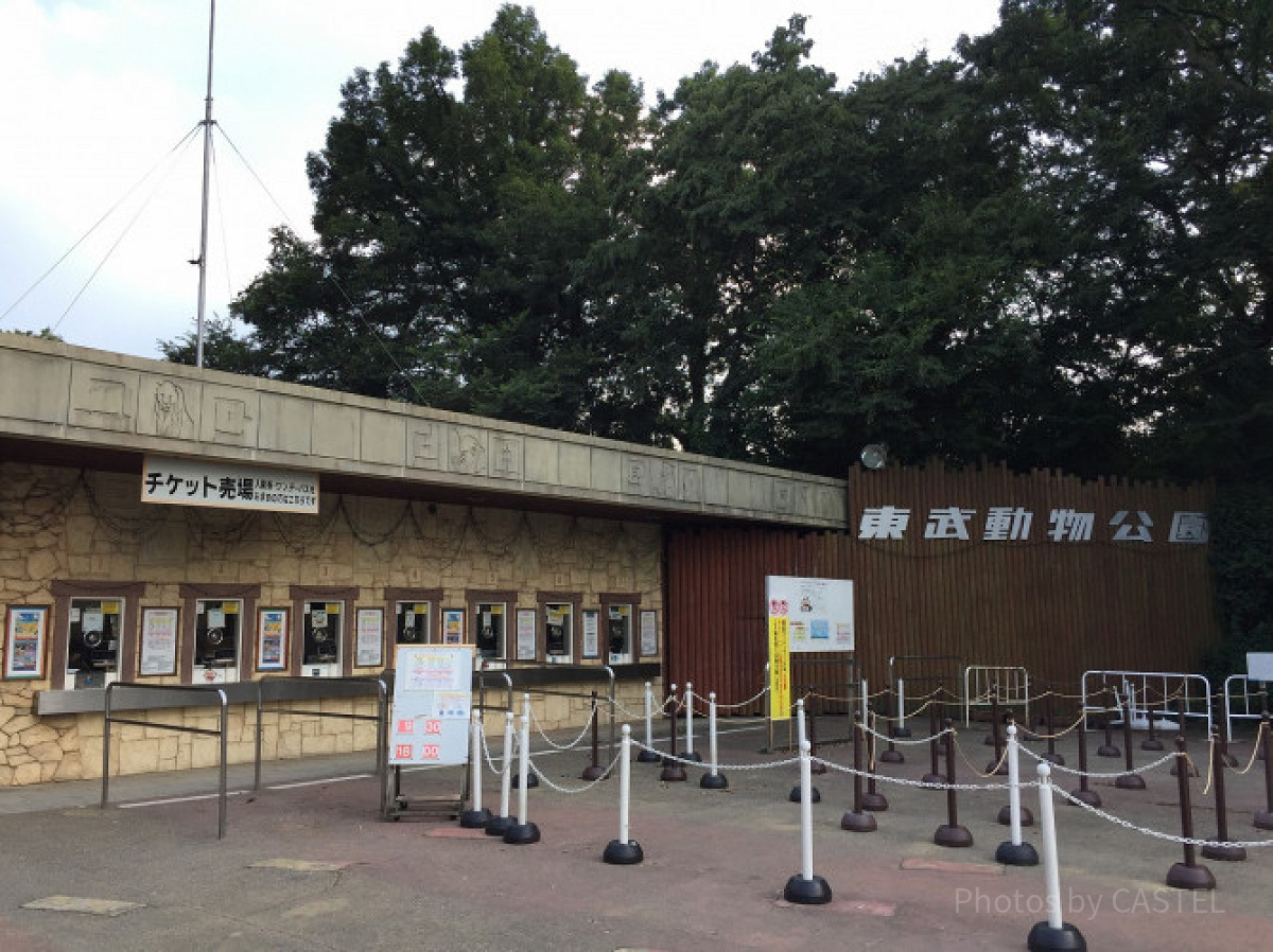 東武動物公園2026最新の営業時間と休園日！混雑回避と完全攻略術