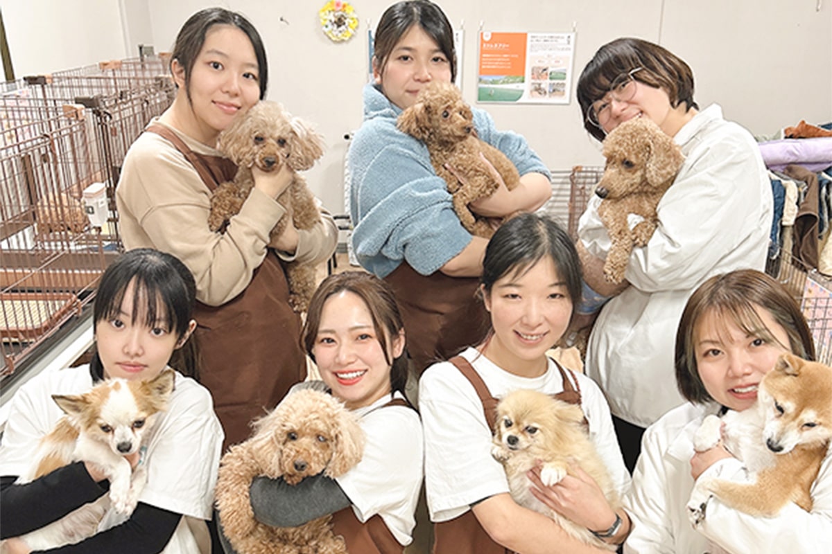 大阪で保護犬の里親になる完全ガイド｜譲渡会・カフェ・審査基準と費用