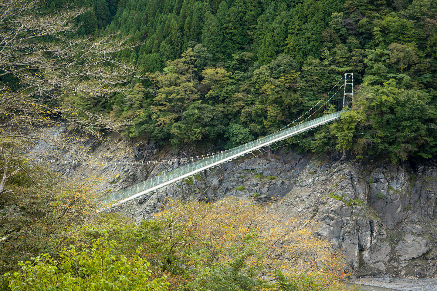 大洞川吊り橋の現在と通行止め理由｜危険度と歴史の真相を徹底追跡