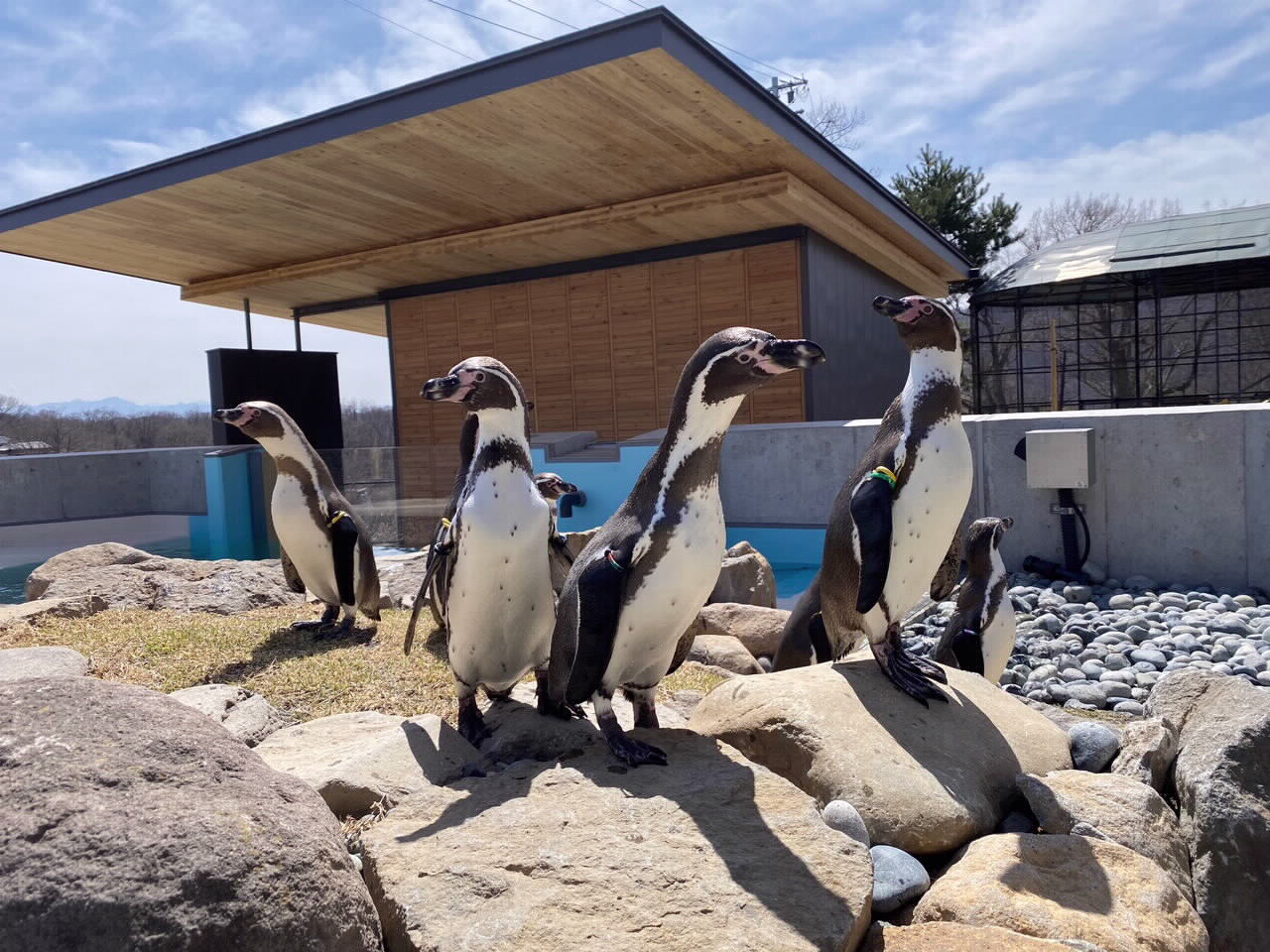 小諸市動物園の現在とリニューアル全貌｜料金から見どころまで徹底解剖