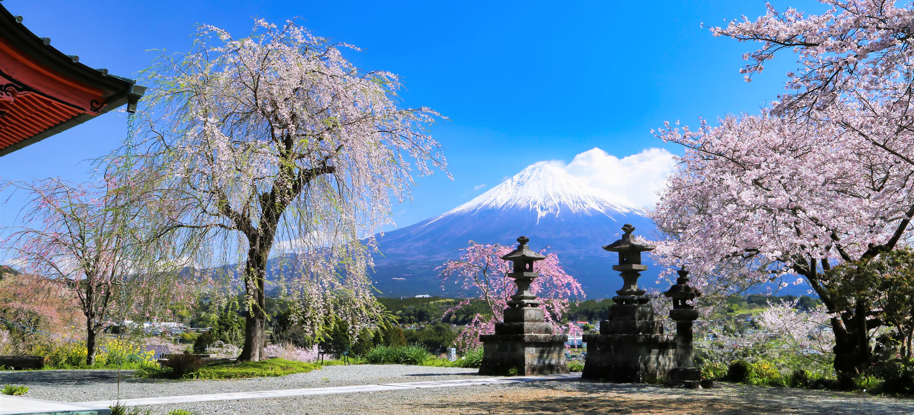 興徳寺の絶景と歴史を総力取材！富士山と桜・彼岸花や御朱印まで徹底解説