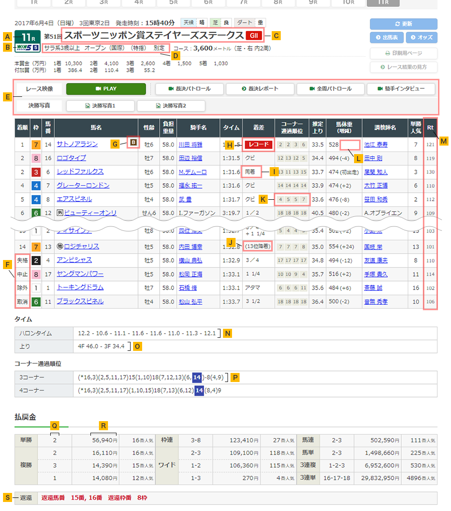 今日の中央競馬結果速報！激走の伏兵と波乱メインの真相を徹底分析