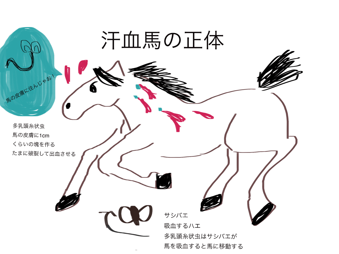 伝説の名馬「汗血馬」は実在した？血の汗の真相と現代のアハルテケ