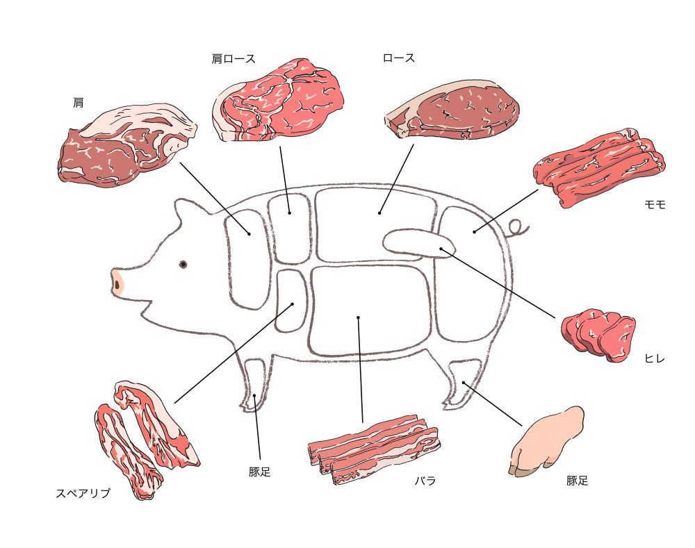 豚の部位を知らずに料理するのは損！プロが教える絶対失敗しない選び方