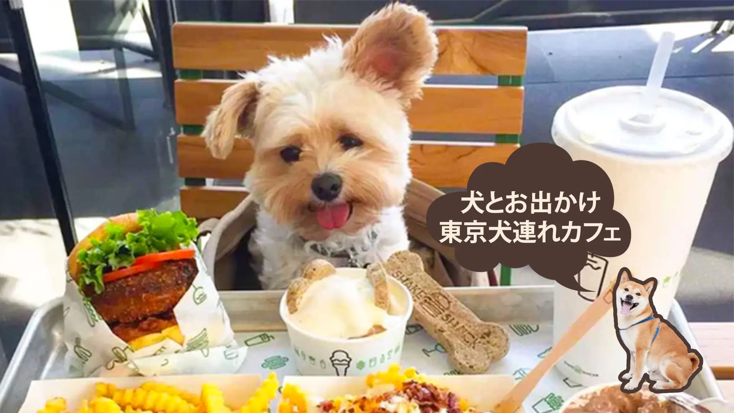 犬と行けるカフェ2026最新比較！店内Ok・雨の日安心の厳選名店