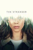 100均の木の板で高見えDiyは可能か？プロが暴く強度と歪みの真実