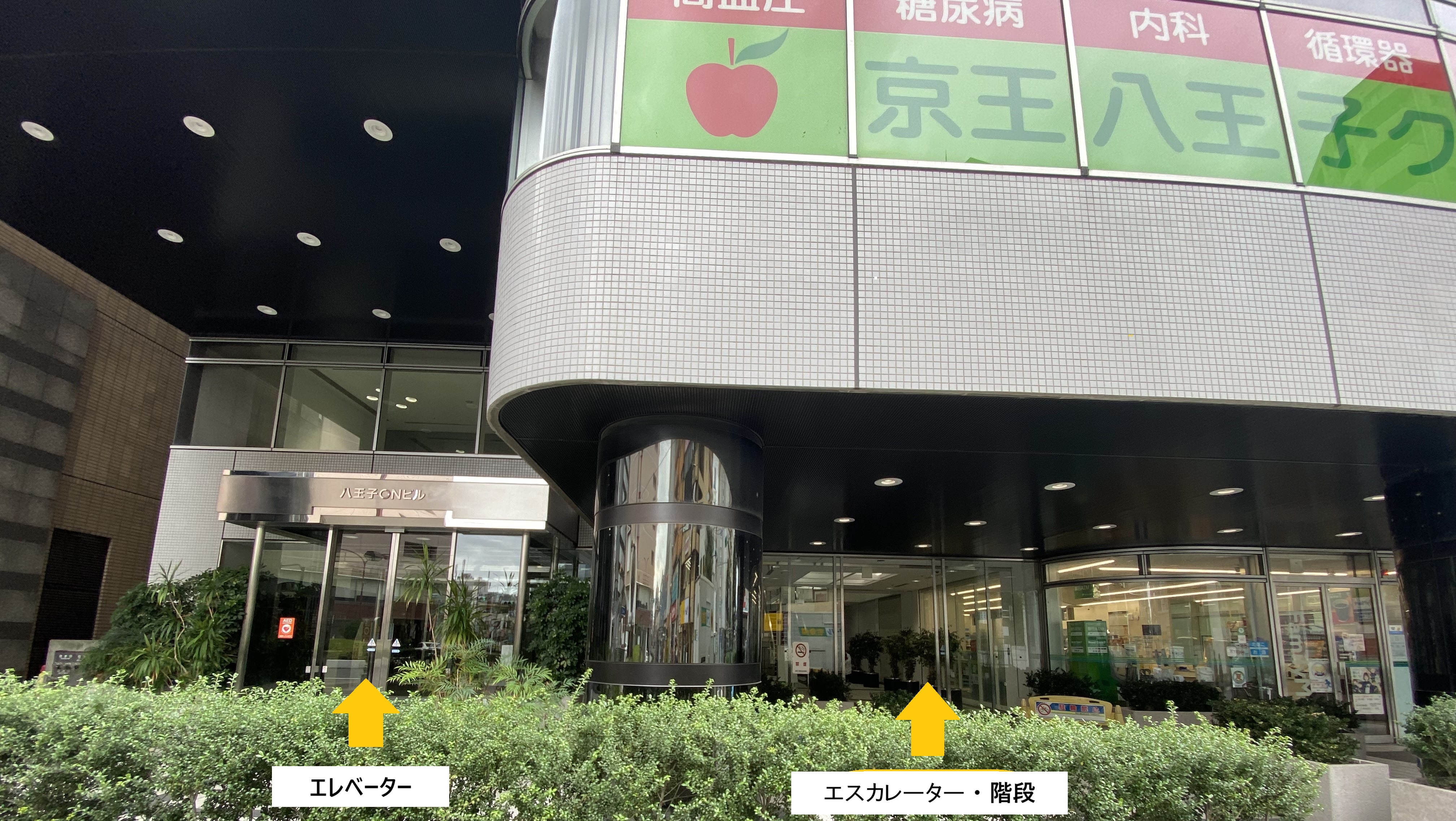京王八王子クリニックの評判検証｜待ち時間と移転・診療体制の真相