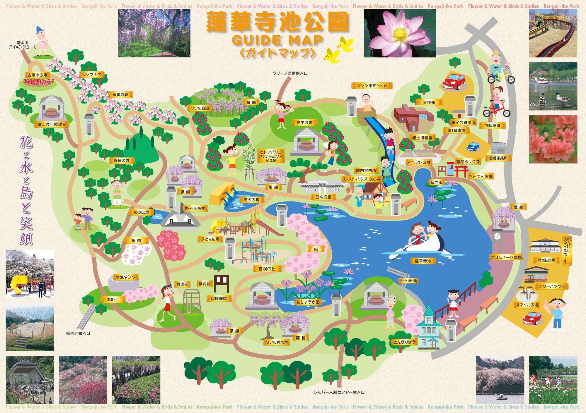 蓮華寺池公園の魅力完全ガイド！2026年藤まつり・桜・駐車場攻略