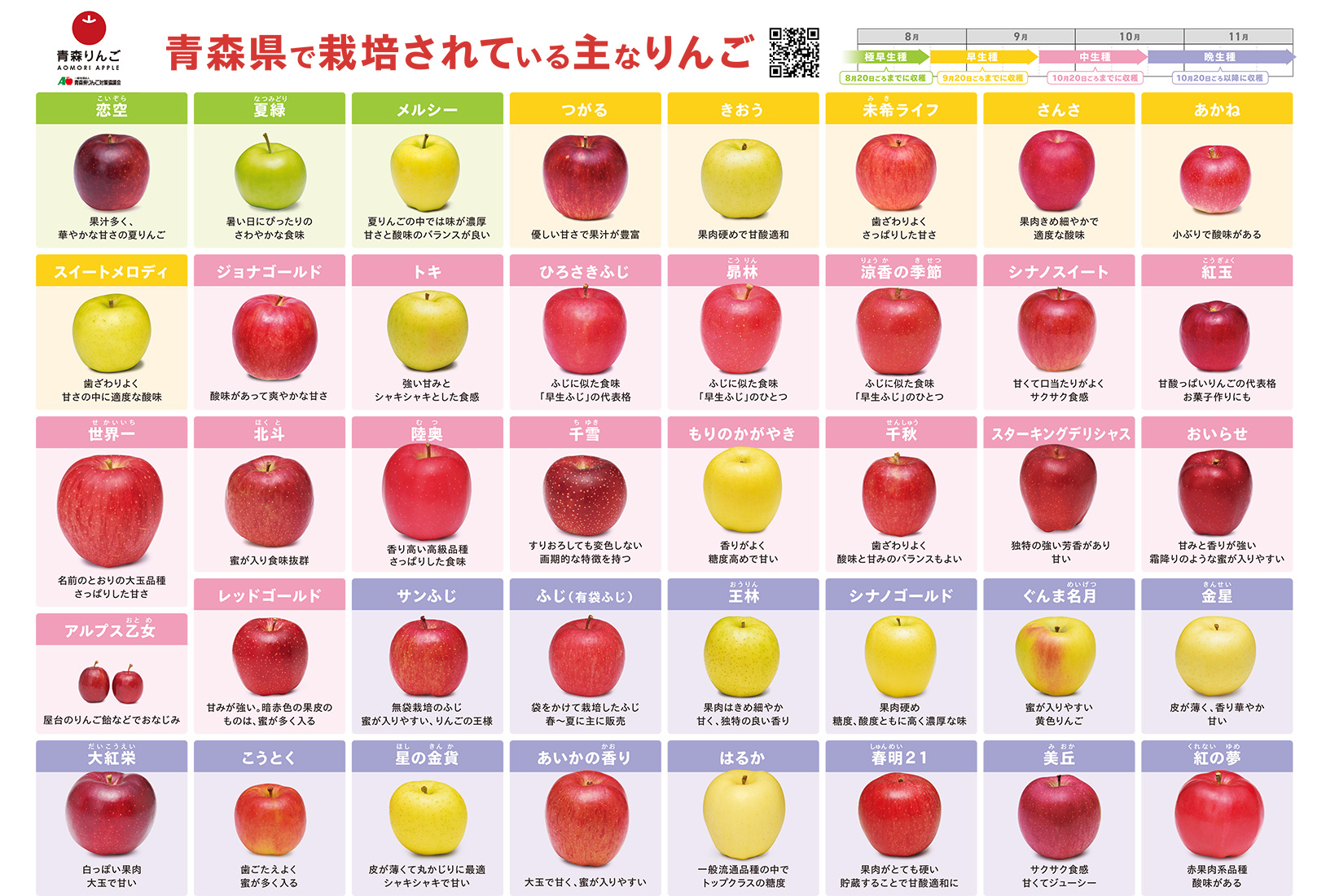 りんごちゃん激変の真相！現在の姿と噂のダイエット法を徹底検証