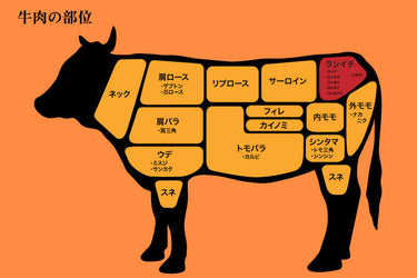 【Wiki風】 ランプ 肉 と は 2026年最新プロフィール #720