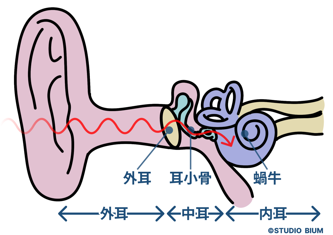 耳が臭い原因と病気のサイン｜チーズ臭・加齢臭を治す正しい耳ケア法