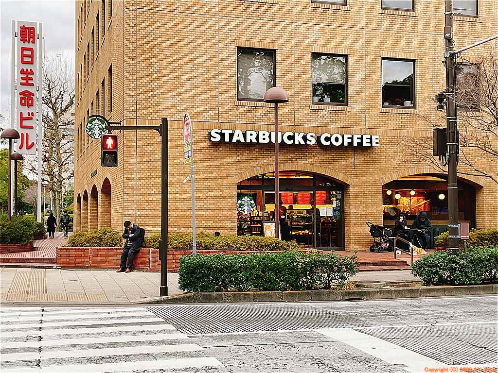 スタバ横浜公園店の混雑とテラス席の真相！2026年最新利用ガイド
