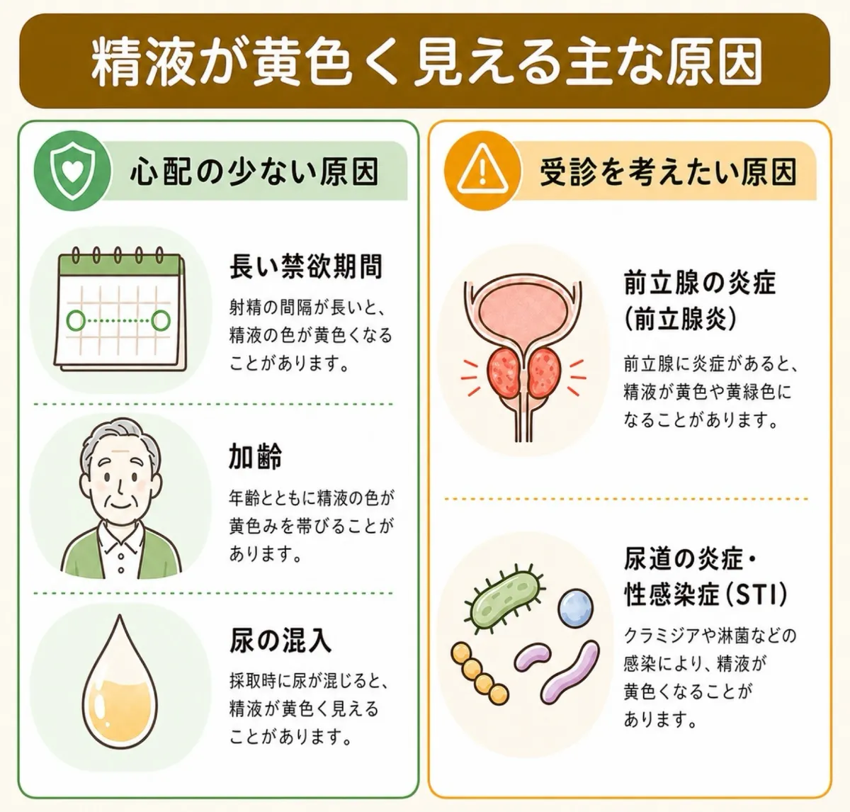 精液が黄色い原因は病気か禁欲か｜放置の危険度と受診目安を徹底解説