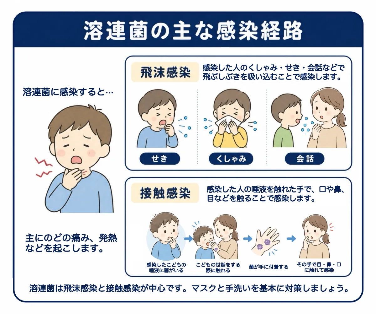 溶連菌の潜伏期間は何日？うつる時期と大人重症化のサイン・登校基準
