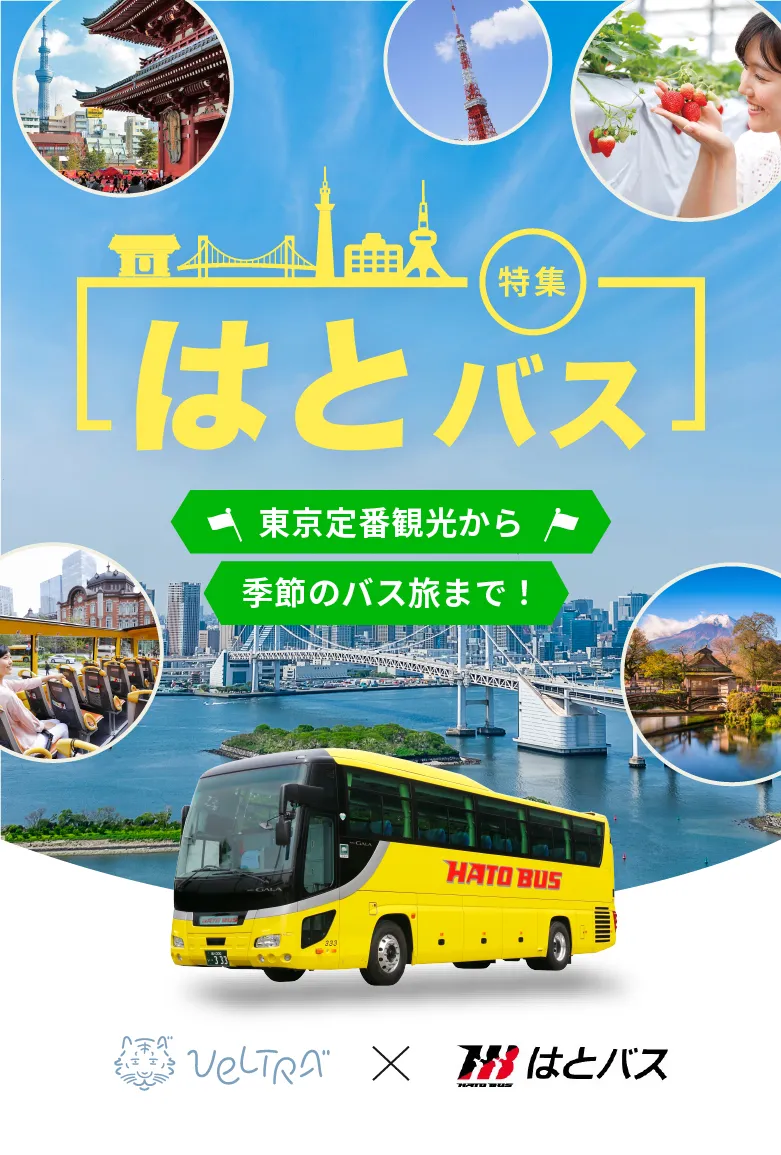 はとバス東京日帰りツアー2026！人気コースの真相と評判を徹底検証